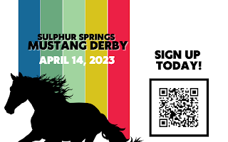 The Mustang Derby – Last Chance to Donate